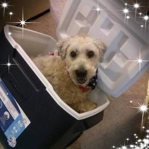 Meet your Posher, Anetta